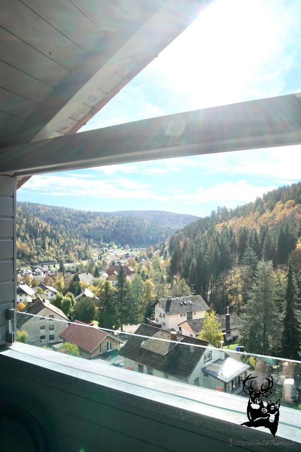 Apartment-Chalet Panorama Todtmoos Extérieur photo
